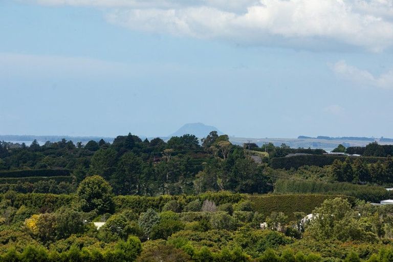 Photo of property in 251 Woodland Road, Tahawai, Katikati, 3170