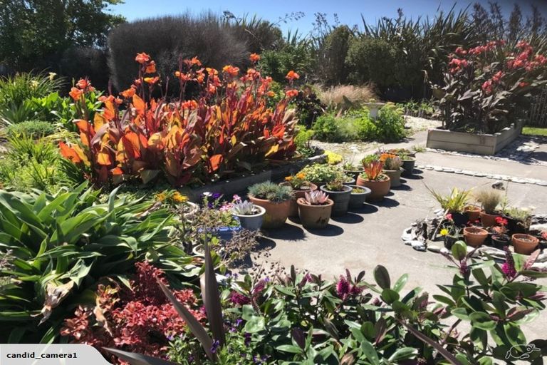 Photo of property in 33 Beach Street, Hokitika, 7810