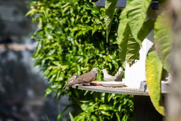 Photo of property in 3 Riverlea Drive, Katikati, 3129