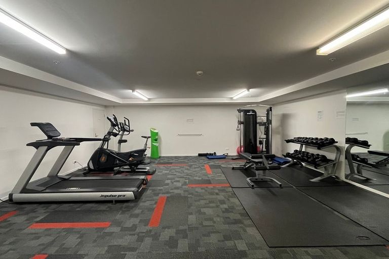Photo of property in Parkview Residences, 207/15 Rendall Place, Eden Terrace, Auckland, 1021