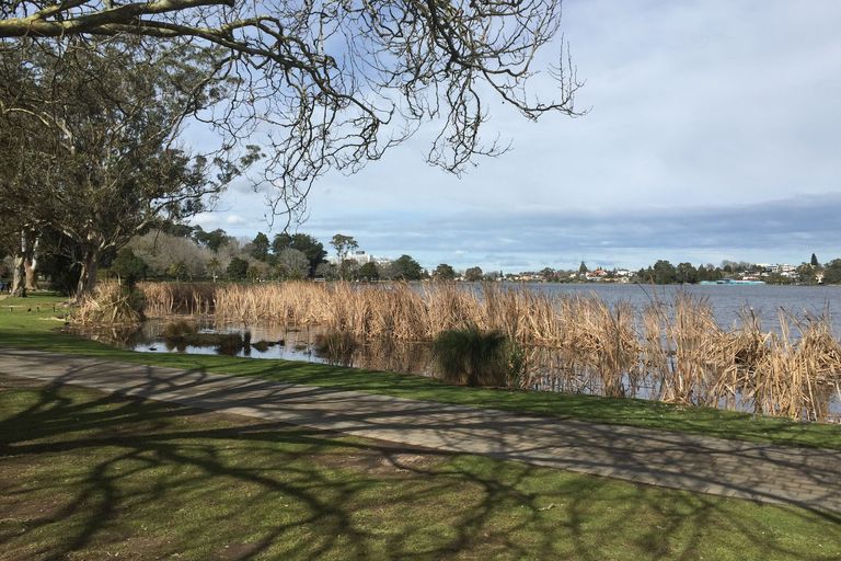 Photo of property in 60a Alison Street, Hamilton Lake, Hamilton, 3204