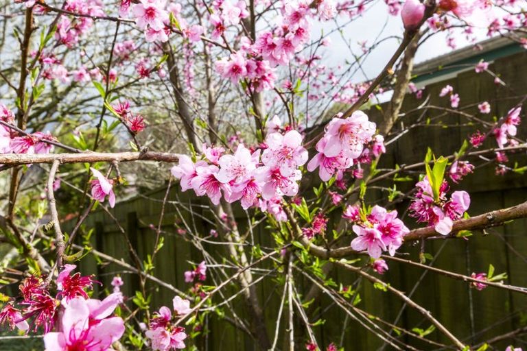 Photo of property in 3 Topaz Street, Birchville, Upper Hutt, 5018