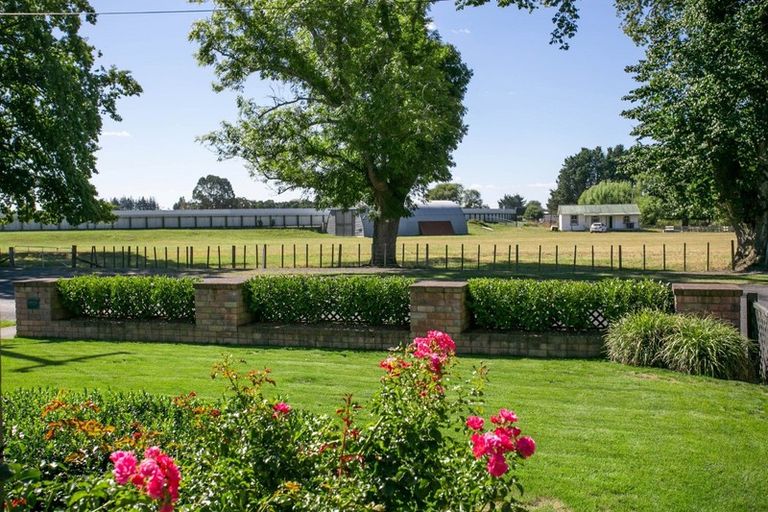 Photo of property in 24 Taylor Street, Cambridge, 3434