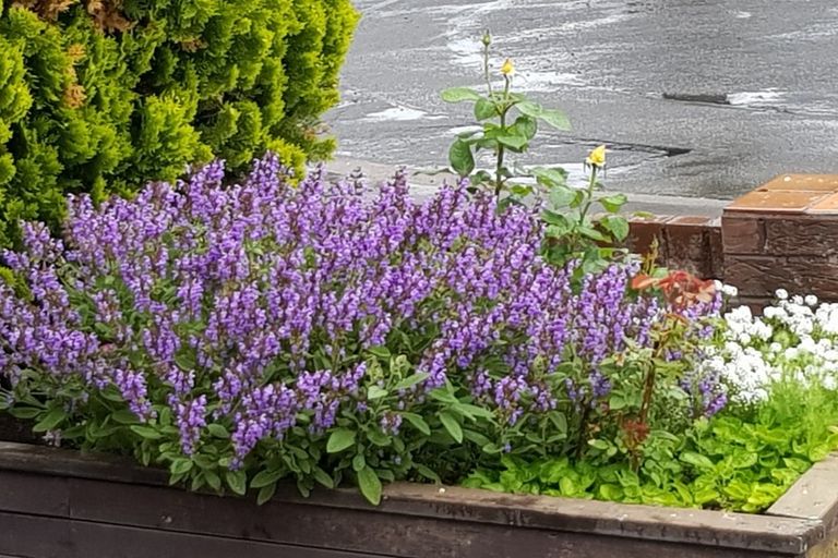 Photo of property in 2/5 Chokebore Place, Sockburn, Christchurch, 8042