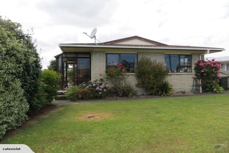 Photo of property in 21a Bowen Street, Cambridge, 3434