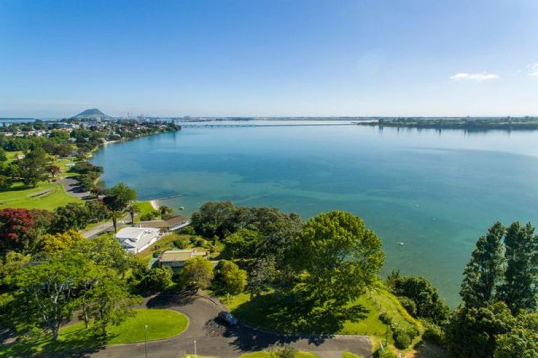 Photo of property in 1 Eleventh Avenue, Tauranga, 3110
