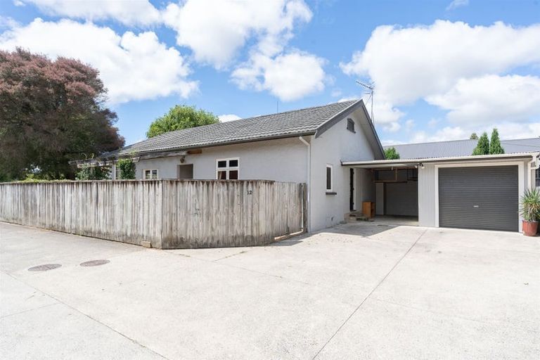 Photo of property in 12 Hammond Street, Hamilton Central, Hamilton, 3204