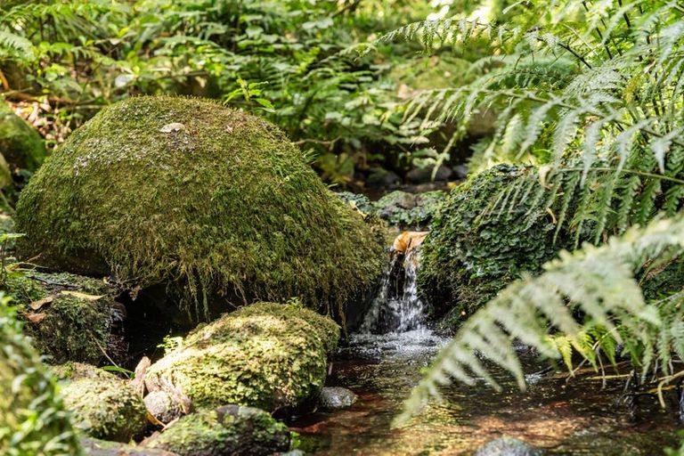 Photo of property in 409 Whatitiri Road, Poroti, Whangarei, 0179