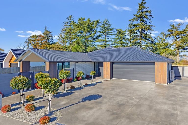 Photo of property in 3 Jag Way, Tinwald, Ashburton, 7700
