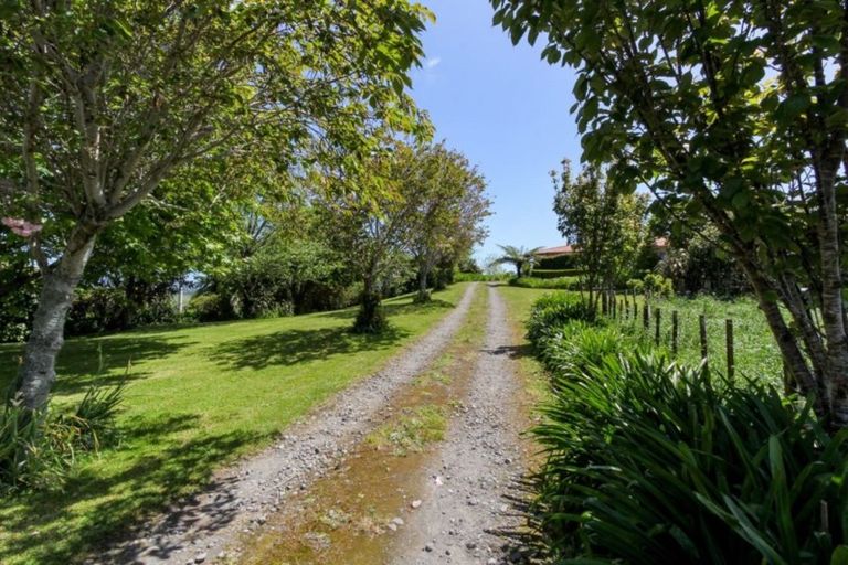 Photo of property in 171 Sealy Road, Omata, New Plymouth, 4374