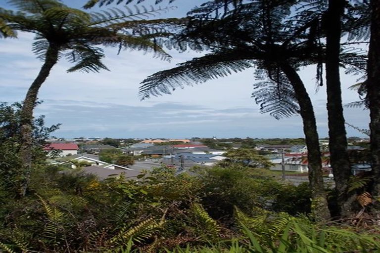 Photo of property in 6 Freyberg Terrace, Greymouth, 7805