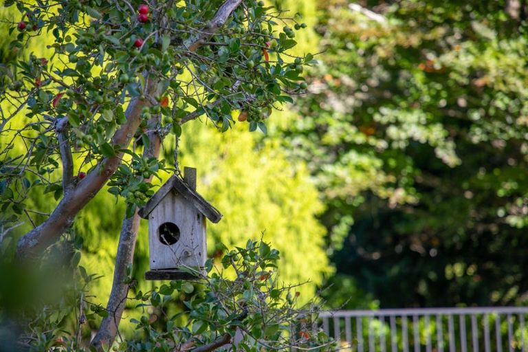 Photo of property in 93 Te Puna Quarry Road, Minden, Tauranga, 3179