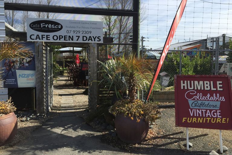 Photo of property in 60a Alison Street, Hamilton Lake, Hamilton, 3204