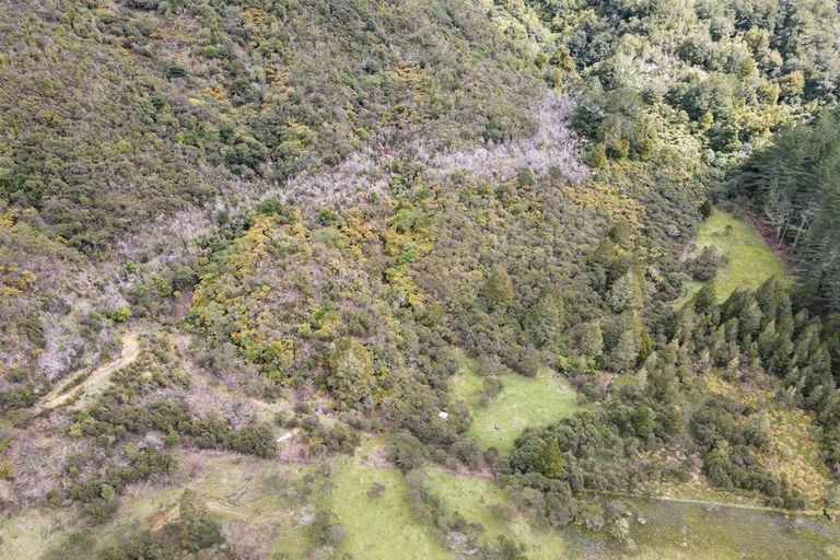 Photo of property in 1677 Takaputahi Road, Toatoa, Opotiki, 3197