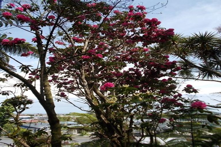 Photo of property in 6 Freyberg Terrace, Greymouth, 7805