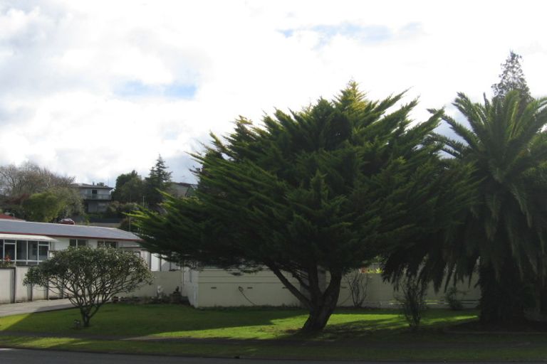 Photo of property in 15 Lancaster Street, Dinsdale, Hamilton, 3204