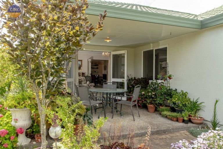Photo of property in 21 Palmbrook Avenue, Havelock North, 4130