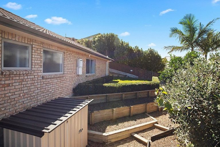 Photo of property in 17 Arthur Carwen Place, Pukekohe, 2120