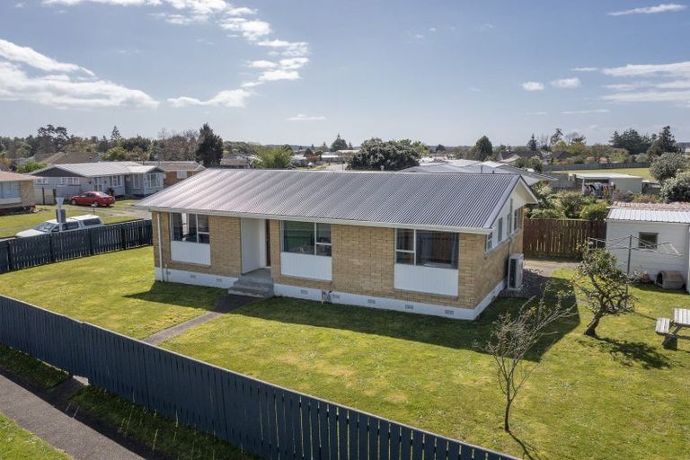 Photo of property in 63 Hinemoa Street, Levin, 5510