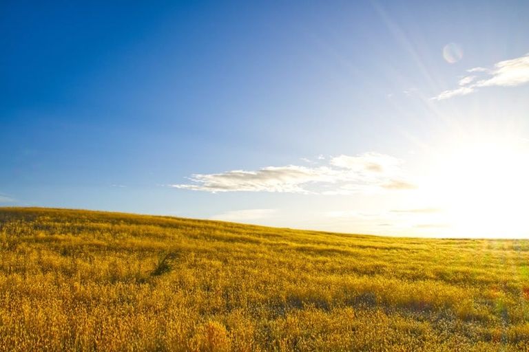 Photo of property in 45 Mcarthur Road, Springvale, Alexandra, 9391