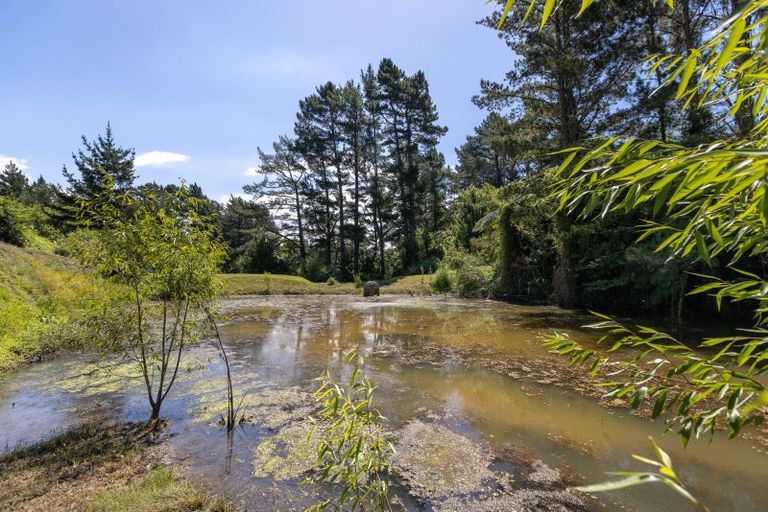 Photo of property in 70 Hollister Lane, Ohauiti, Tauranga, 3112