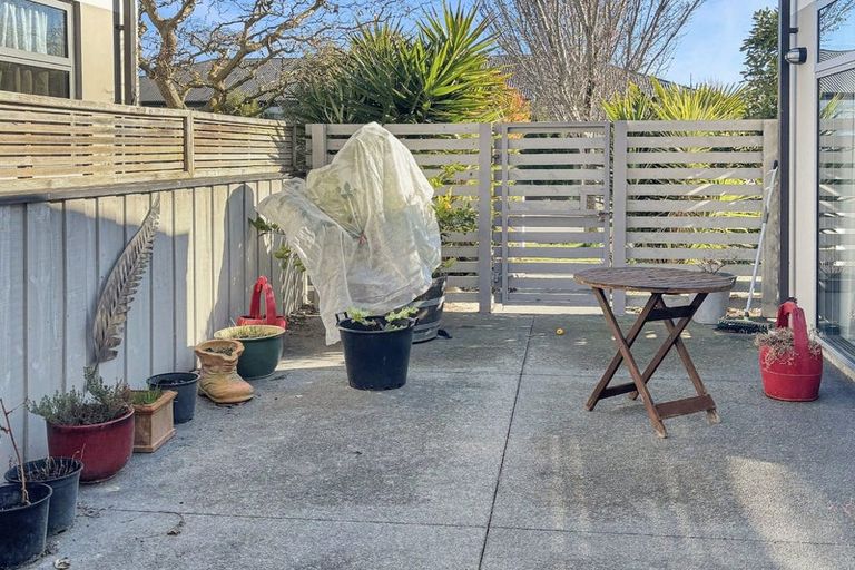 Photo of property in 77 Mary Ellen Street, Pegasus, 7612