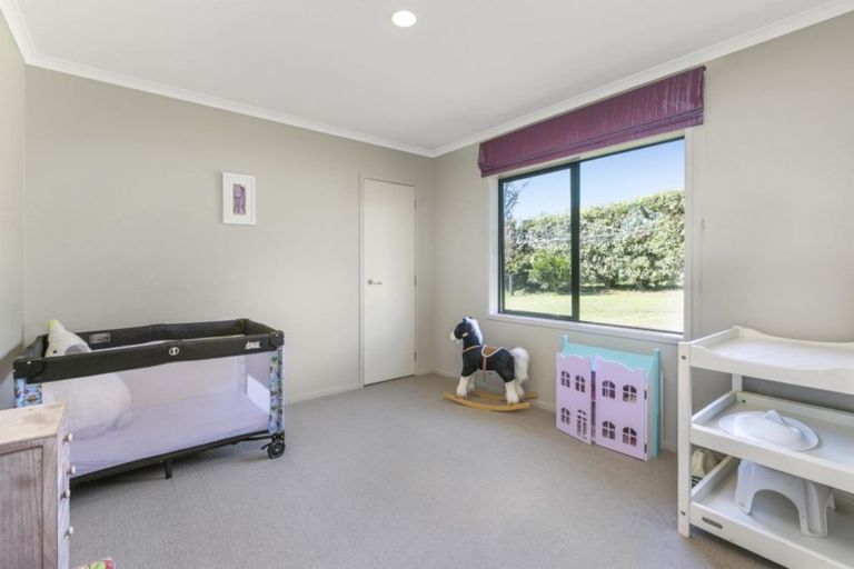 Photo of property in 565 Omanawa Road, Omanawa, Tauranga, 3171