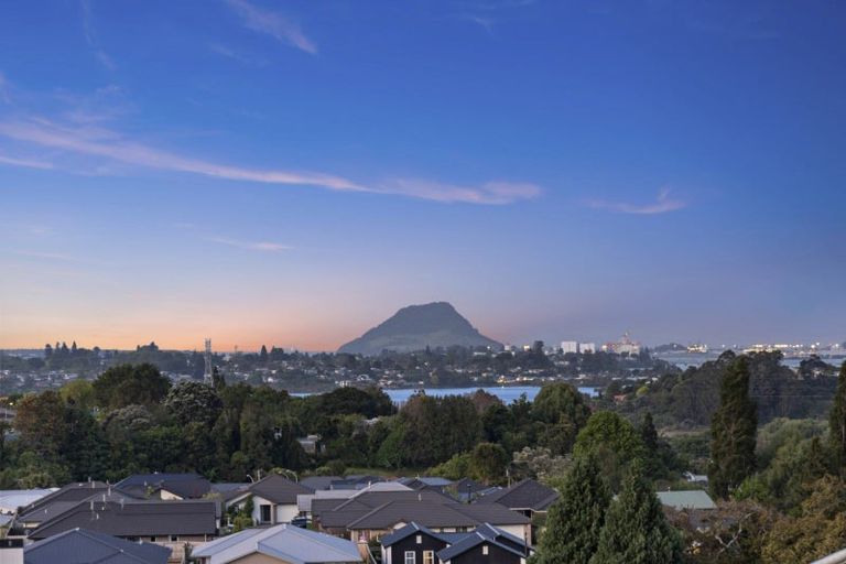 Photo of property in 49 Pinkerton Place, Ohauiti, Tauranga, 3112