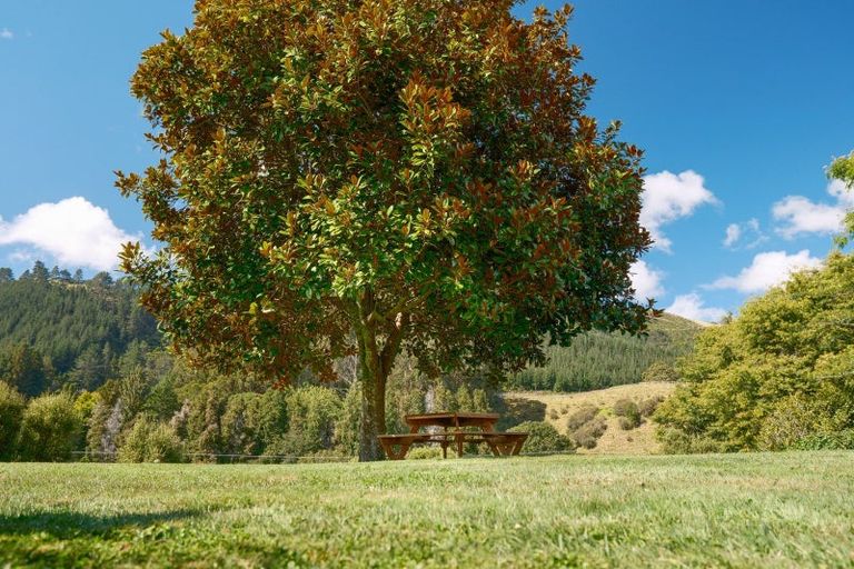 Photo of property in 1099 Paradise Valley Road, Ngongotaha Valley, Rotorua, 3072