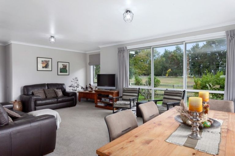 Photo of property in 241 Hallett Road, Otakiri, Whakatane, 3192
