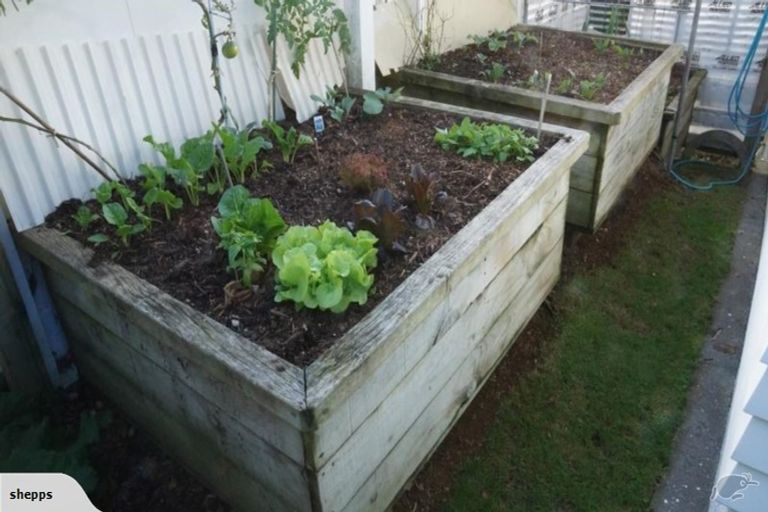 Photo of property in 223 Powderham Street, New Plymouth, 4310