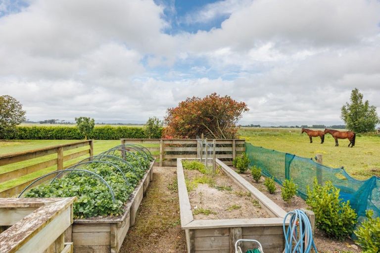 Photo of property in 707 Aranui Road, Kairanga, Palmerston North, 4475