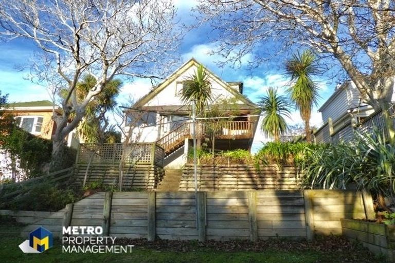 Photo of property in 43 Pacific Street, Roslyn, Dunedin, 9010