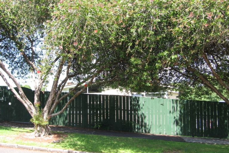 Photo of property in 2 Amsterdam Place, Avondale, Auckland, 0600