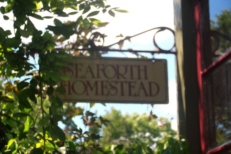 Photo of property in Seaforth Homestead, 246 Seadown Road, Seadown, Timaru, 7973