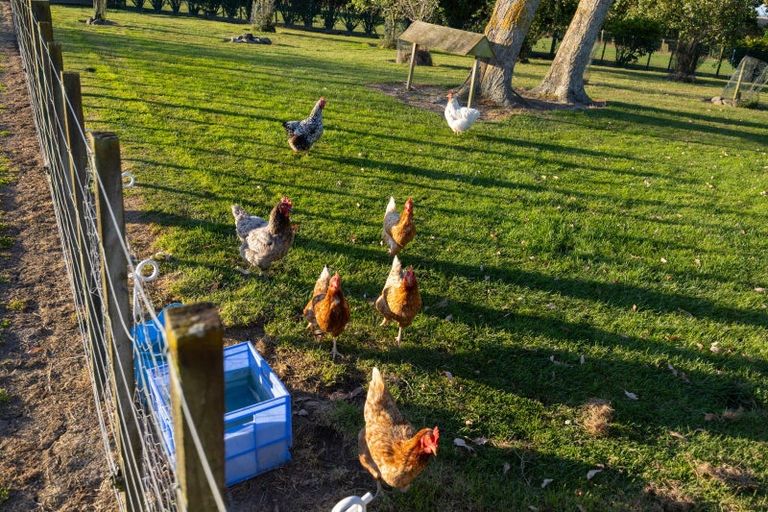 Photo of property in 249g Watershed Road, Bunnythorpe, Palmerston North, 4470