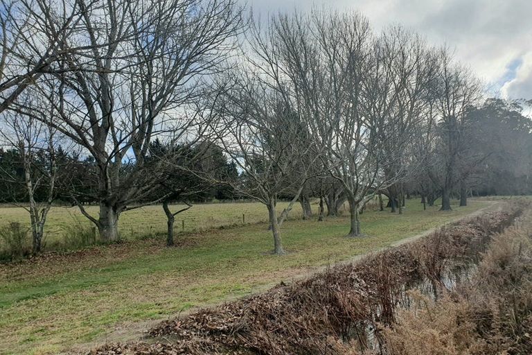 Photo of property in 8 Cherry Tree Place, Southbridge, 7602