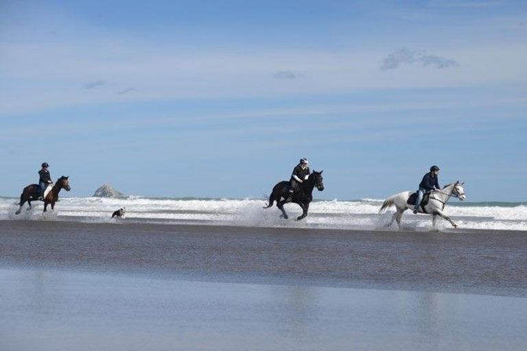 Photo of property in 71b Taiapa Valley Road, Muriwai, 0881