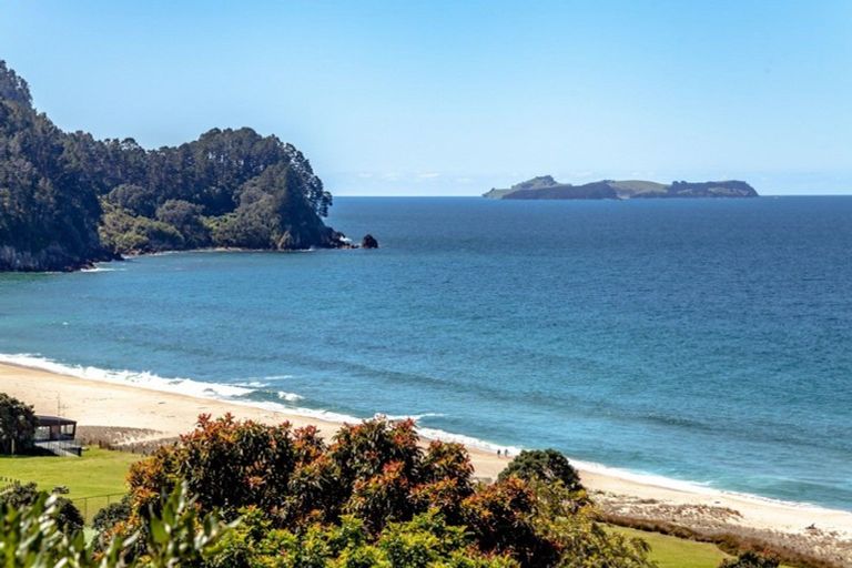 Photo of property in 325 Onemana Drive, Onemana, Whangamata, 3691