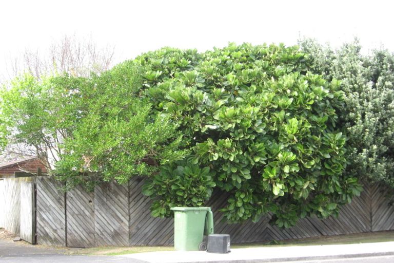 Photo of property in 259 Papamoa Beach Road, Papamoa Beach, Papamoa, 3118