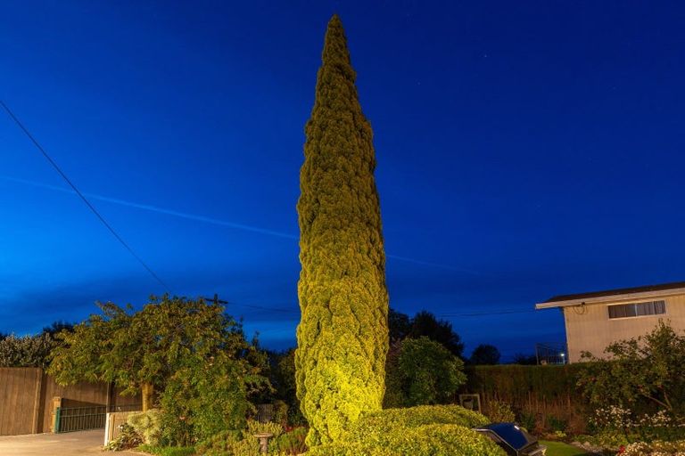 Photo of property in 269 Scott Street, Witherlea, Blenheim, 7201