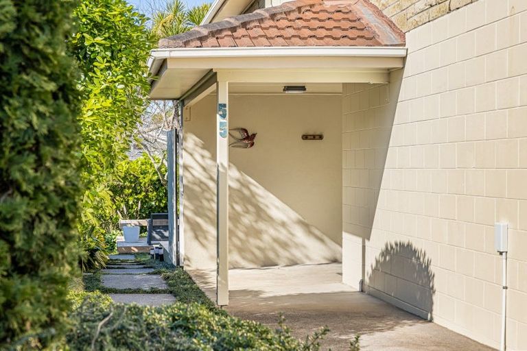 Photo of property in 55 Dignan Street, Point Chevalier, Auckland, 1022
