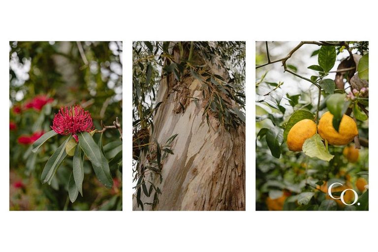 Photo of property in 60 Walford Road, Aongatete, Katikati, 3181