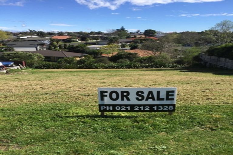 Photo of property in 113 Castlewold Drive, Bethlehem, Tauranga, 3110