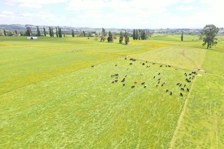 Photo of property in 912 Ngahape Road, Maihiihi, Te Awamutu, 3873