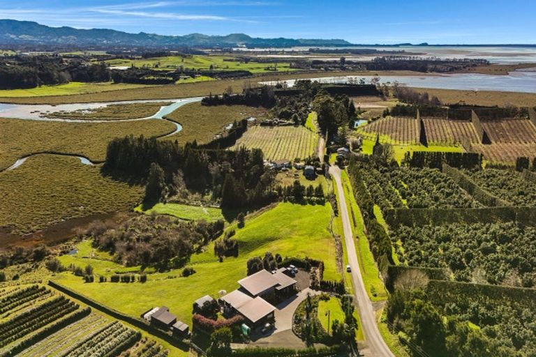 Photo of property in 175 Stewart Road, Whakamarama, Katikati, 3181