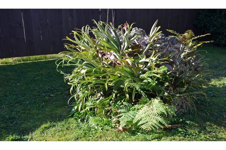 Photo of property in 27 Hinemotu Avenue, Kawerau, 3127