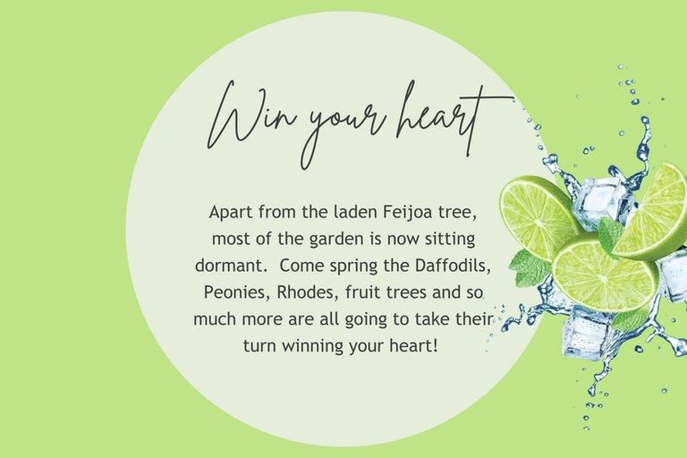 Photo of property in 252 Williams Street, Kaiapoi, 7630