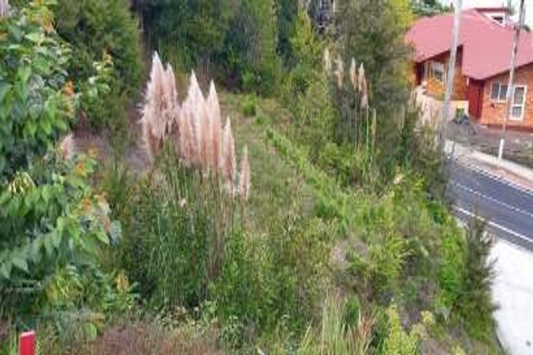 Photo of property in 192 Buffalo Beach Sh25 Road, Whitianga, 3592