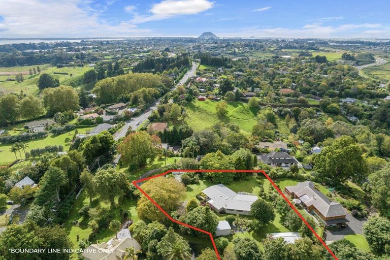 Photo of property in 405 Cambridge Road, Tauriko, Tauranga, 3110